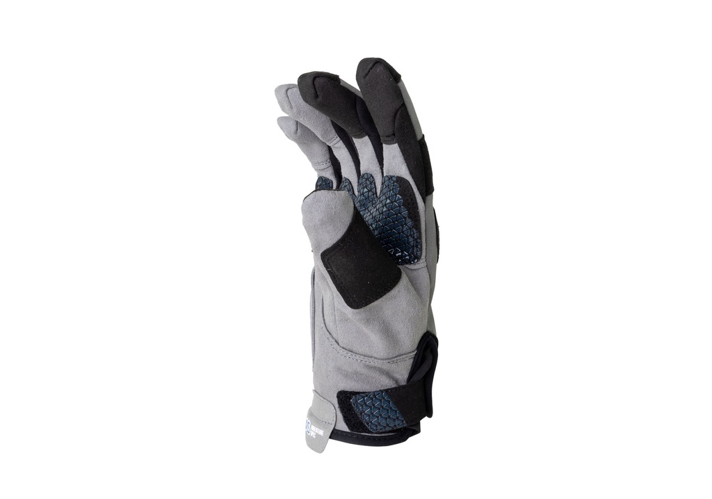 Alpine Windproof Glove v2 2024